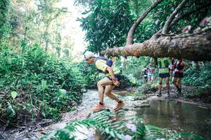 BIB: 
                            <button type="button" onclick="openModal(25441795)" class="btn btn-primary btn-sm float-right btn-popup" data-toggle="modal" data-target=".modal-high-quality">
                        <i class="fas fa-shopping-cart"></i> Add to Cart
                    </button>
                                            <button type="button" onclick="isThisMe(25441795, true)" class="btn btn-success btn-sm float-right btn-popup btn-isme hidden" data-toggle="tooltip" data-placement="bottom" title="นี่คือรูปของคุณใช่ไหม คลิกที่นี่เพื่อเอาเข้าอัลบั้ม">
                        <i class="fas fa-plus"></i> Add to album
                    </button>
                    <button type="button" onclick="isThisMe(25441795, false)" class="btn btn-warning btn-sm float-right btn-popup btn-isnotme hidden">
                        <i class="fas fa-ban"></i> Remove from album
                    </button>